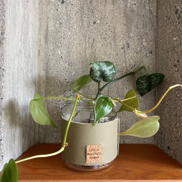 Leather Handcrafted “Seymour” Propagation Vase - Picture 1 of 7